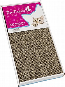 ���� ����� ����