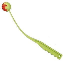 ��� ����� ����� ����