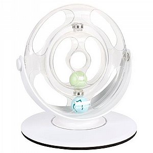 ����� ����� ���� ������ 