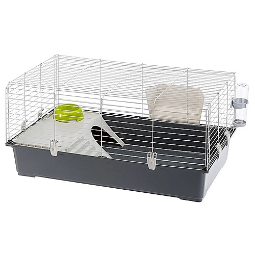 ���� ����� - ���� 100/Rabbit 100