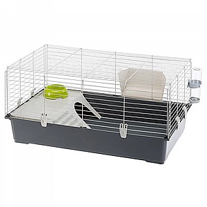   -  100/Rabbit 100
