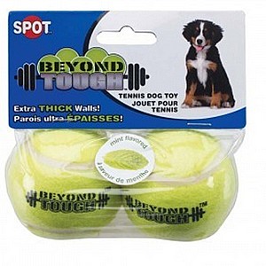 ���� ���� ���� ����