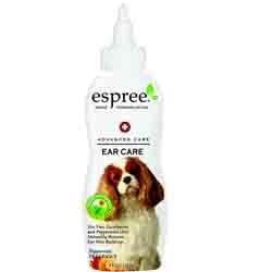 ���� ������ �������