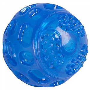 ���� ���� ����