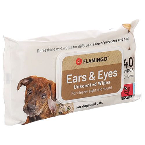 ������� ������ �������