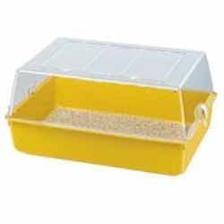 ���� ��������