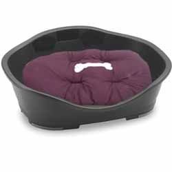 ���� ������ ����� 4 + ����� ������ ����� �����