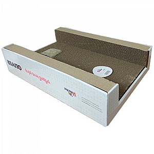 ��� ����� �����